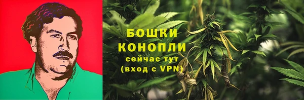 хмурый Лиски