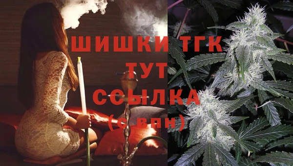 хмурый Лиски
