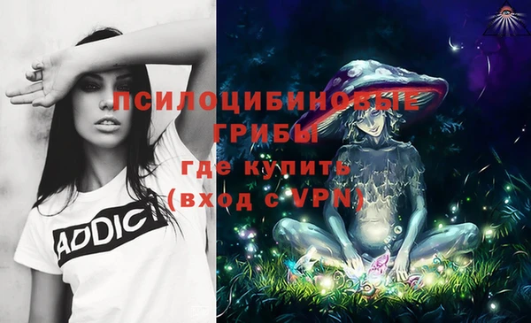 ALPHA PVP Лихославль